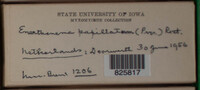 Image Associated With the Occurence
